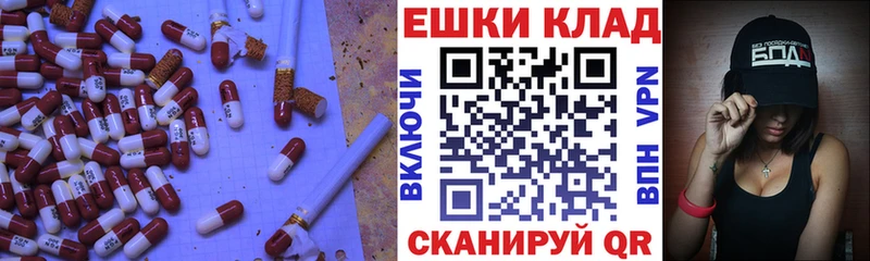 хочу   Зуевка  маркетплейс Telegram  ЭКСТАЗИ 250 мг 