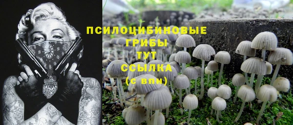СК Балабаново