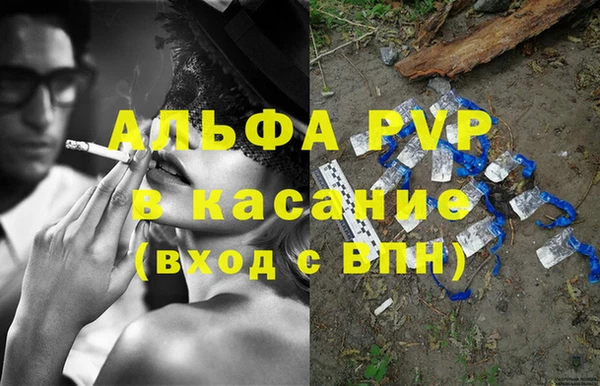 хмурый Арсеньев